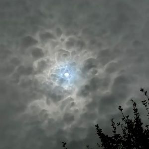 Meet your Posher, Amyr